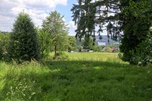 In dieser Traumkulisse sind Sie der Hauptdarsteller! – Marienhöh 16, 55758 Birkenfeld (Kreis) – Vorschaubild 17