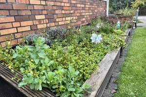 Familienglück mit Gartenidylle – Die vollständige Adresse der Immobilie erhältst du vom Anbieter., 3226 Vetschau/Spreewald – Vorschaubild 9