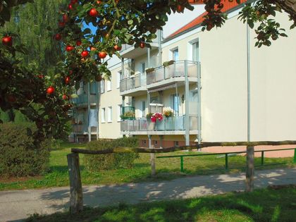 3- Zimmer- Wohnung in Parey an der hotsell Elbe