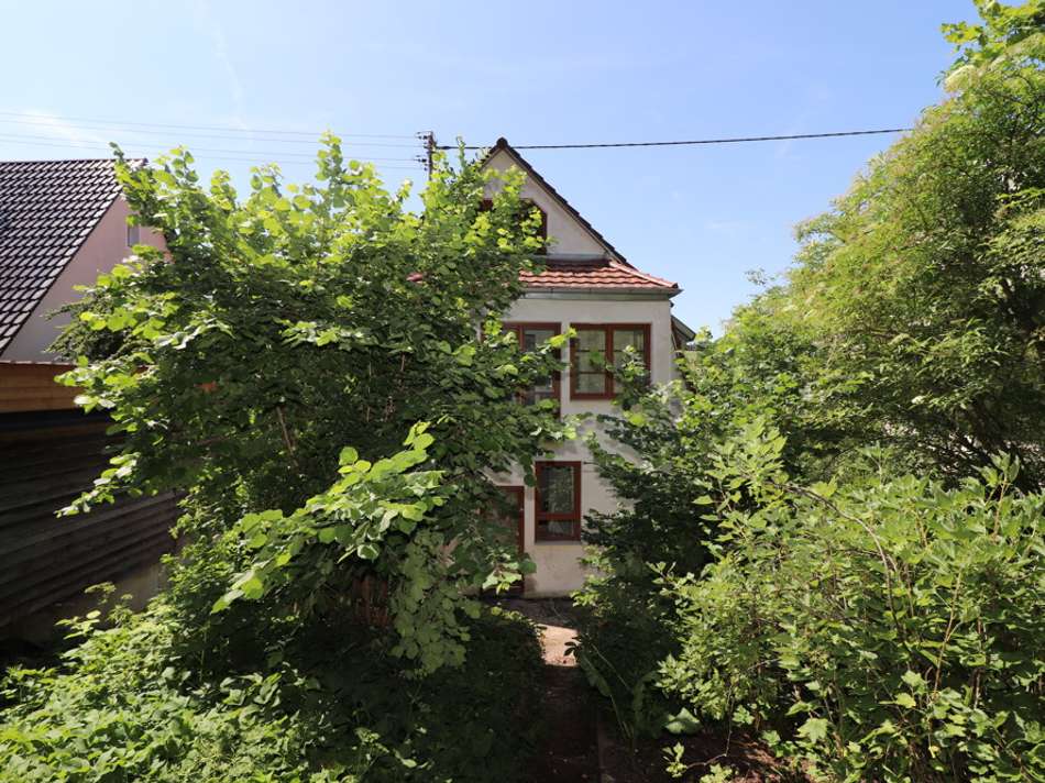 großes Gartengrundstück