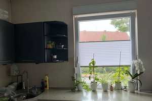 Zentrales EFH mit Einliegerwohnung in Ahaus – Borken (Kreis) – Vorschaubild 3