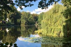 Property thumbnail 16