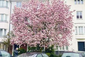 Property thumbnail 17