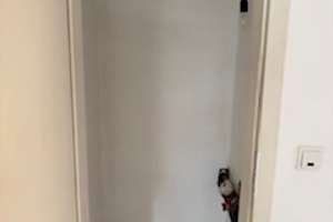 Schöne Wohnung in zentraler Lage, ideal für Pendler! – Eurenerstr. 59/a, 54294 West/Pallien, Trier – Vorschaubild 13