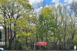 An der Pferderennbahn ! Dachgeschoßwohnung mit Dachboden in einem 3-Parteienhaus ! Provisionsfrei – Niehler Straße 432, 50735 Niehl, Köln – Vorschaubild 15