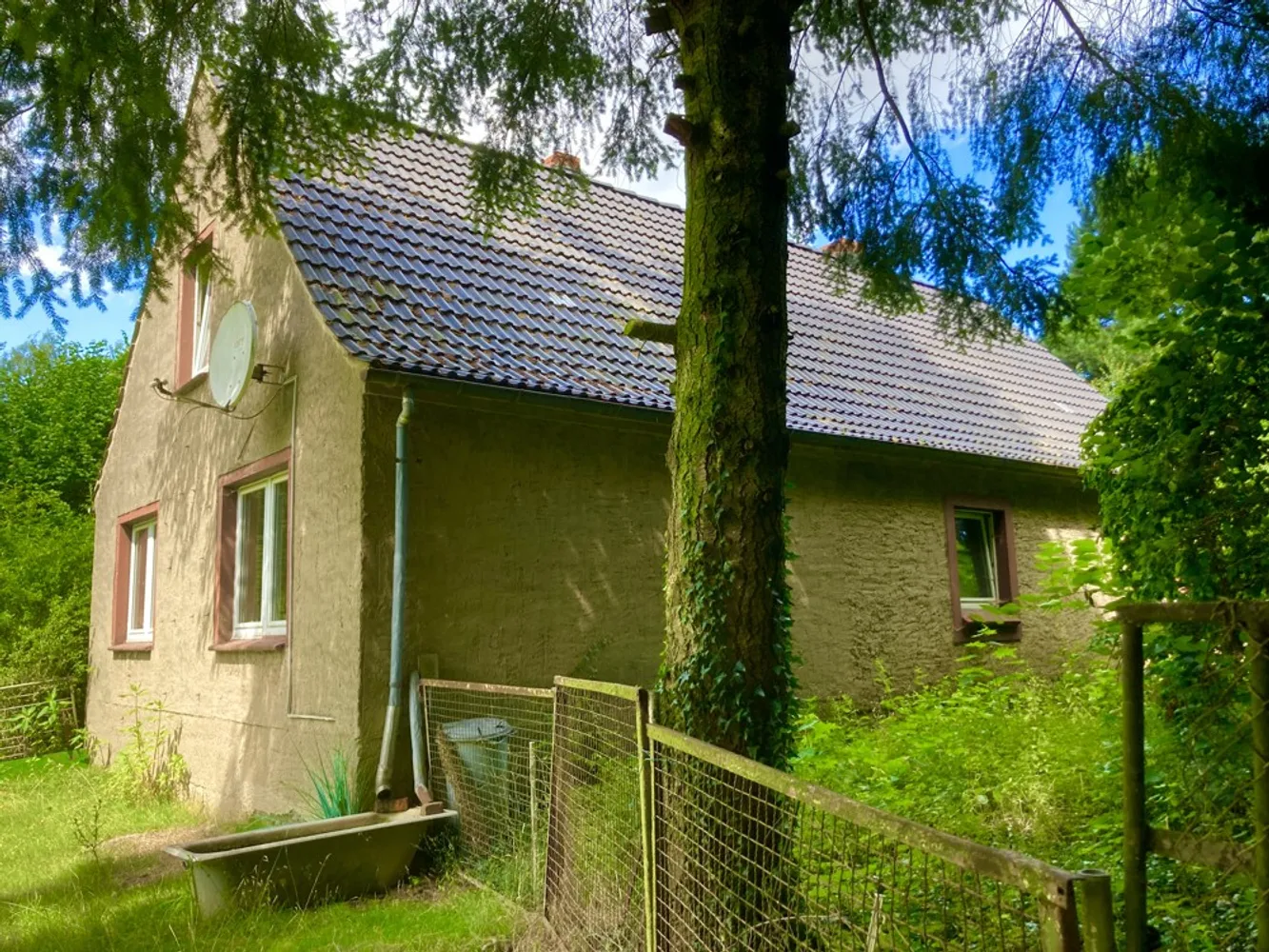 Einfamilienhaus auf großem Grundstück - Nähe der Ostsee und Greifswald, Vorpommern Greifswald Kreis – Bild 1