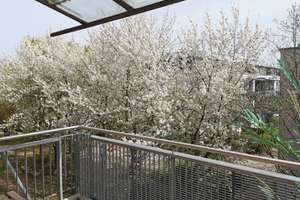 Gepflegte 1-Zimmer-Wohnung mit EBK, Balkon und TG-Stellplatz in Wiesbaden – Norderneyer Straße 7, 65199 Dotzheim, Wiesbaden – Vorschaubild 14