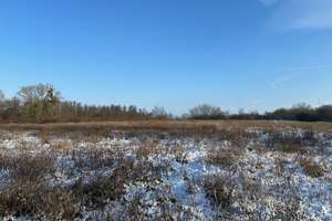 Idyllische Rückzugsoase für Naturfreunde und Tierliebhaber in Wob-Brackstedt – Auf dem Lerchenberge 1, 38448 Brackstedt, Wolfsburg – Vorschaubild 15