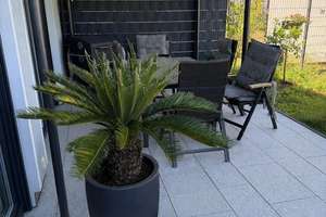 RMH mit Garten, 4 Räume, inkl. EBK, Gä-WC, Terrasse, DG-Ausbaureserve,  2 SP u.v.m. – 4329 Heiterblick, Leipzig – Vorschaubild 17
