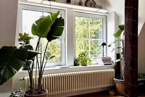 Einmalige Gelegenheit am Botanischen Garten in Bielefeld – Die vollständige Adresse der Immobilie erhältst du vom Anbieter., 33617 Gadderbaum, Bielefeld – Vorschaubild 3