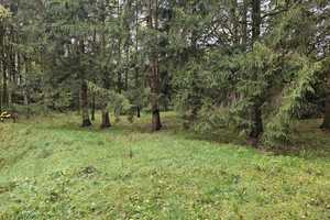 Modernes Wohnen in Alleinlage - auf großem Naturgrundstück und fußläufiger Entfernung zum NOK! – Rendsburg-Eckernförde (Kreis) – Vorschaubild 2