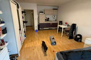 1,5-Zimmer Wohnung im 2. OG mit Balkon in Duisburg Altstadt – Mainstr. 17, 47051 Altstadt, Duisburg – Vorschaubild 5