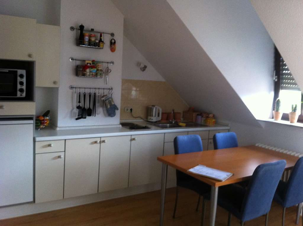 Immobilie in Landau in der Pfalz - charmantes Dachgeschoss-Studio in Altstadtvilla - Bild 1