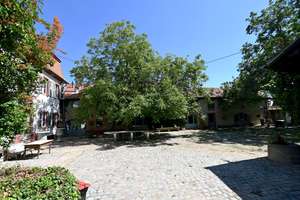 Schloss Alsheim sucht neuen Eigentümer! – Die vollständige Adresse der Immobilie erhältst du vom Anbieter., 67577 Alsheim – Vorschaubild 8