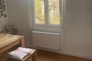 Lebendiger Mittelpunkt: 4-Zimmer-Wohnung in Wiesbaden – Blücherstraße 13, 65195 Westend / Bleichstraße, Wiesbaden – Vorschaubild 16