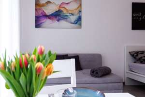 Möbliertes 1-Zimmer-Apartment mit Balkon & Aufzug – bezugsfertig in LU-Süd