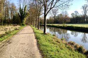 Saniertes Einfamilienhaus mit 5 Zimmern an guter Lage in Grevenbroich – Goldregenstrasse 22, 41516 Grevenbroich – Vorschaubild 30