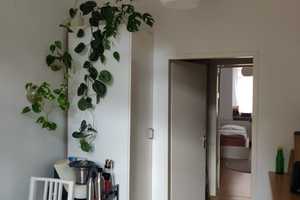 Schöne & sehr gut geschnittene 1-ZKB-Wohnung in der Neckarstadt-Ost Nähe Schafweide – Mannheim – Vorschaubild 3