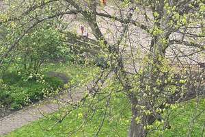 Property thumbnail 17