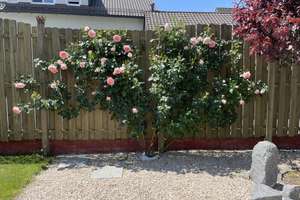 Winkel-Bungalow in ruhiger Bestlage von Moosburg – Die vollständige Adresse der Immobilie erhältst du vom Anbieter., 85368 Moosburg an der Isar – Vorschaubild 17