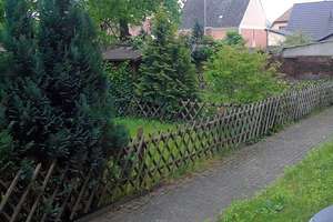 !!! Zurück in die Schule !!! – Lugstraße 10, 6886 Lutherstadt Wittenberg – Vorschaubild 3