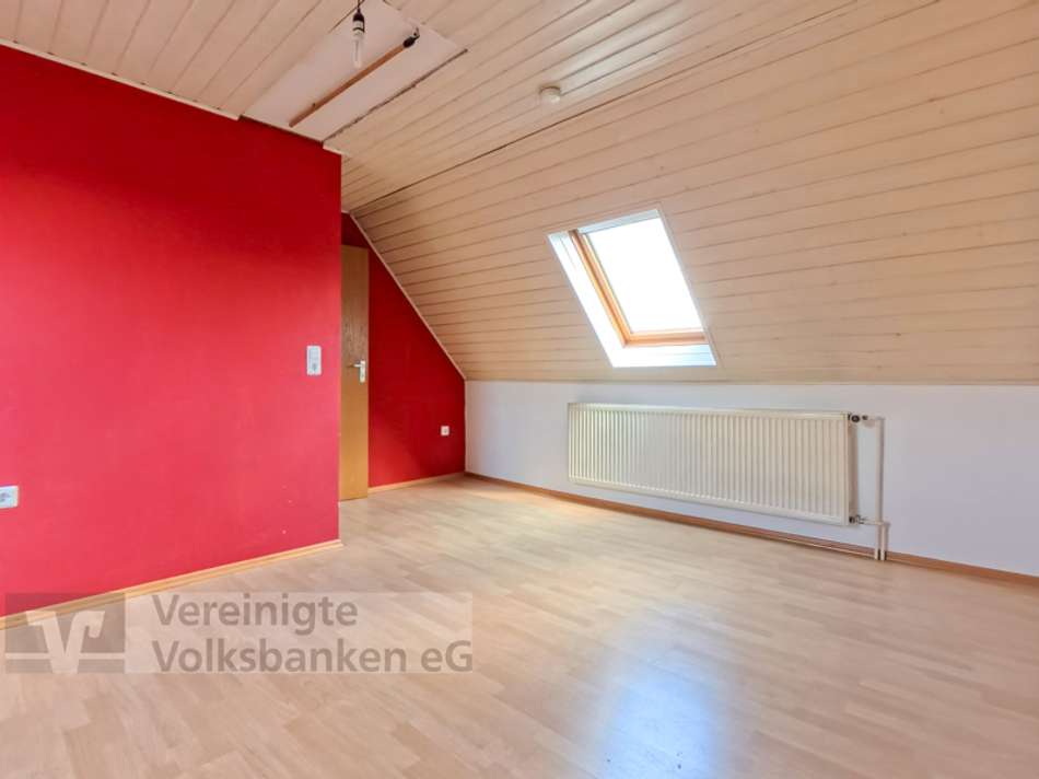 DG-Studio