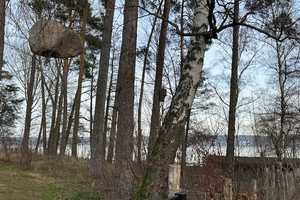 Baugrundstück 2. Reihe Bad Saarow Strand – Oder-Spree (Kreis) – Vorschaubild 15