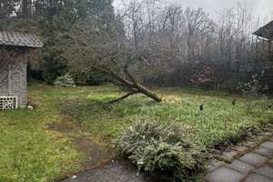 großzügige 4-Zi. Whg. inkl. Garten, Einbauküche / WG geeignet – Argelsriederstraße 60, 81475 Fürstenried-West, München – Vorschaubild 9