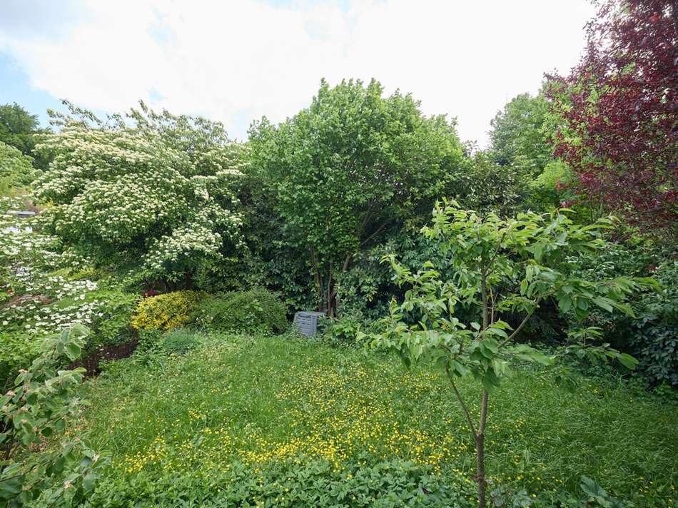Blick in den Garten