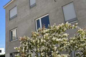 3-Zimmer-Wohnung mit sonniger Loggia