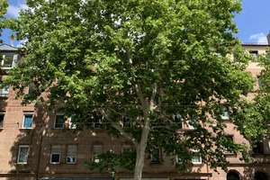 Charmante 2-Zimmer-Maisonette + Spitzboden im Jugendstilhaus – Nürnberger Südstadt – Allersberger Straße 143, 90461 Guntherstraße, Nürnberg – Vorschaubild 14