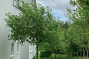Für Investoren oder zur Eigennutzung: Großzügige Wohnung in Stuttgart-Möhringen – Die vollständige Adresse der Immobilie erhältst du vom Anbieter., 70567 Möhringen-Ost, Stuttgart – Vorschaubild 7