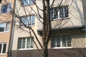 Große 3 Zimmer Wohnung in Wiesdorf - saniert – 51373 Wiesdorf, Leverkusen – Vorschaubild 12
