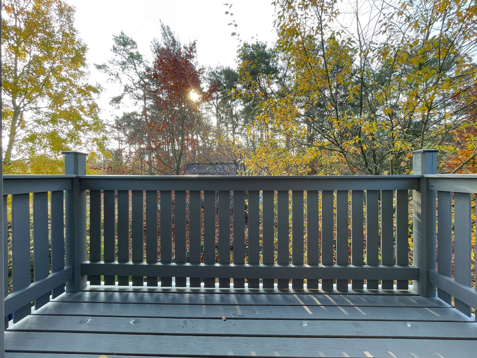 Immobilie in Crinitz - Großes Blockholzhaus mit schön gelegenem Grundstück in Crinitz - Bild 7