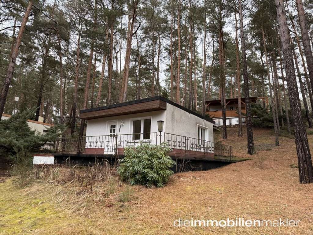 Immobilie in Schwielochsee - Lage, Lage, Lage ... Bungalow am Mochowsee - nur wenige Meter bis zum Wasser - Bild 0