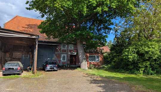 Bild von Großzügiges Bauernhaus mit weitläufigem Grundstück