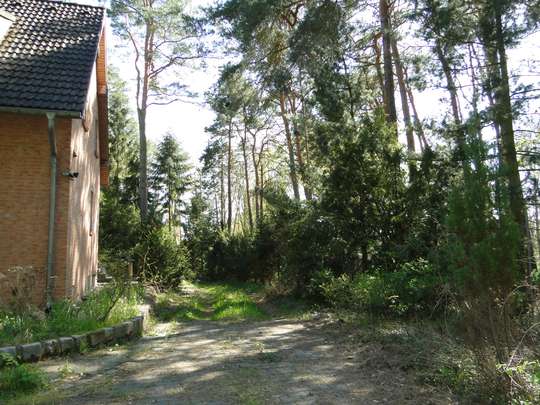 Massives Haus auf großem, bereits geteiltem Waldgrundstück, nahe Krüpelsee in Zernsdorf - Bild 3