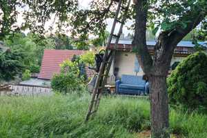 Grundstück mit herrlichem Garten - für Gewerbe geeignet – Dorfstraße 45, 6456 Mansfeld-Südharz (Kreis) – Vorschaubild 5