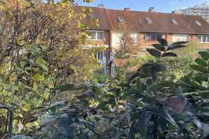 Kleines Reihenmittelhaus für Handwerker  in guter Lage von Bad Oldesloe (A3242) – Stormarn (Kreis) – Vorschaubild 5