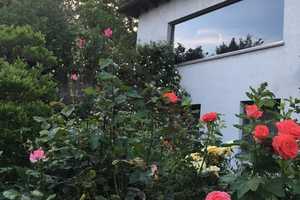 Eindrucksvolles Einfamilienhaus am Waldrand – Einzigartiges Grundstück – Northeim (Kreis) – Vorschaubild 9