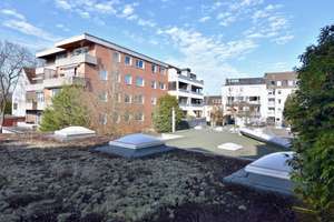 Property thumbnail 12