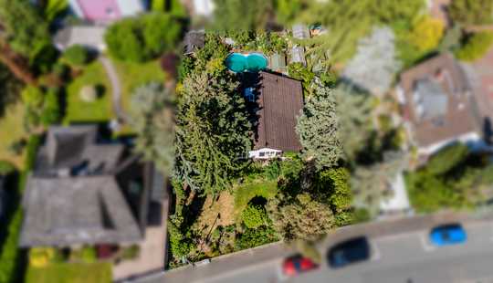 Bild von Haus im Bungalow-Stil auf großem Grundstück mit traumhaftem Garten, altem Baumbestand und Pool