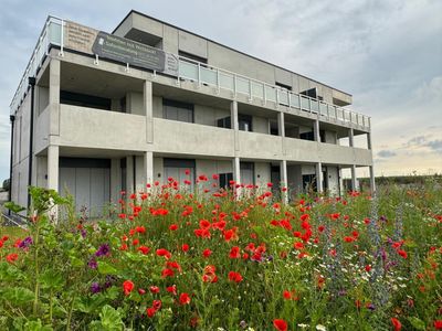 2,5-Zimmer Gartenwohnung nahe historischen Stadtzentrum