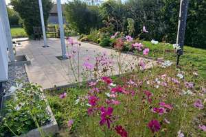 3-Zi.-EG-Whg. Terrasse u. Garten, kernsaniert, ruhige Lage, niedrige NK, prov.frei – 87656 Germaringen – Vorschaubild 16