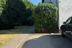Gepflegte, gut geschnittene 3-Zimmer-EG Wohnung mit Balkon in HD von Privat an Privat zu verkaufen – Augustastraße 1, 69126 Rohrbach, Heidelberg – Vorschaubild 14