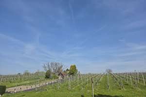 schöne 3,5 Zi. Wohnung Luginsland an den Weinbergen mit TG Stellplatz, 2 Balkone – Maximilianstr 4, 70327 Luginsland, Stuttgart – Vorschaubild 23