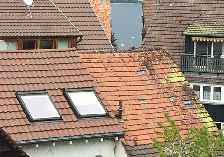 Schöne 4-Zimmer-Wohnung mit Balkon in Konstanz-Dingelsdorf