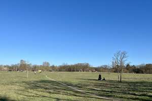 Property thumbnail 17