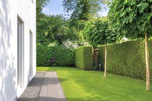Zwischen Elbe und Natur – ein Zuhause zum Wohlfühlen – Die vollständige Adresse der Immobilie erhältst du vom Anbieter., 22609 Osdorf, Hamburg – Vorschaubild 15