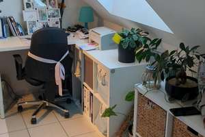Charmantes 1-Zimmer-Apartment im 4. OG in Münster Bahnhofsviertel – Brockhoffstr 10, 48143 Bahnhof, Münster – Vorschaubild 5